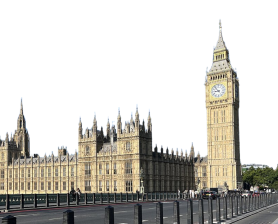 Campaigning for Safer Adrenal Crisis Care: Parliamentary drop-in thumbnail image
