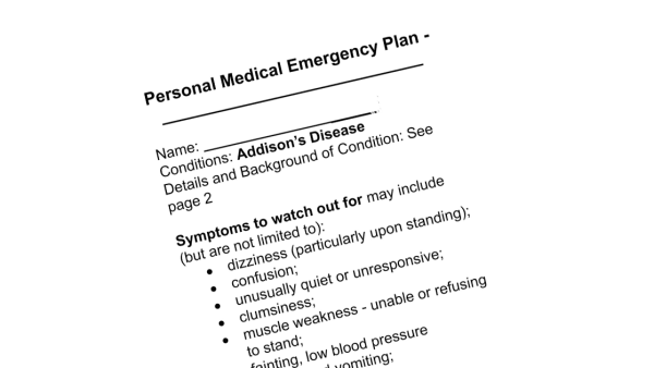 Personal Emergency Plan